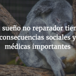 Cuantas horas de sueño